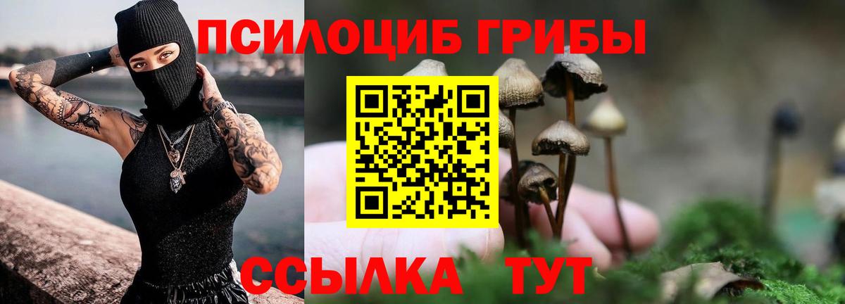Псилоцибиновые грибы Magic Shrooms Керчь
